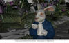 Animation Progression White Rabbit 2 of 5