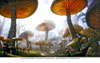 Mushroom Forest Concept Art